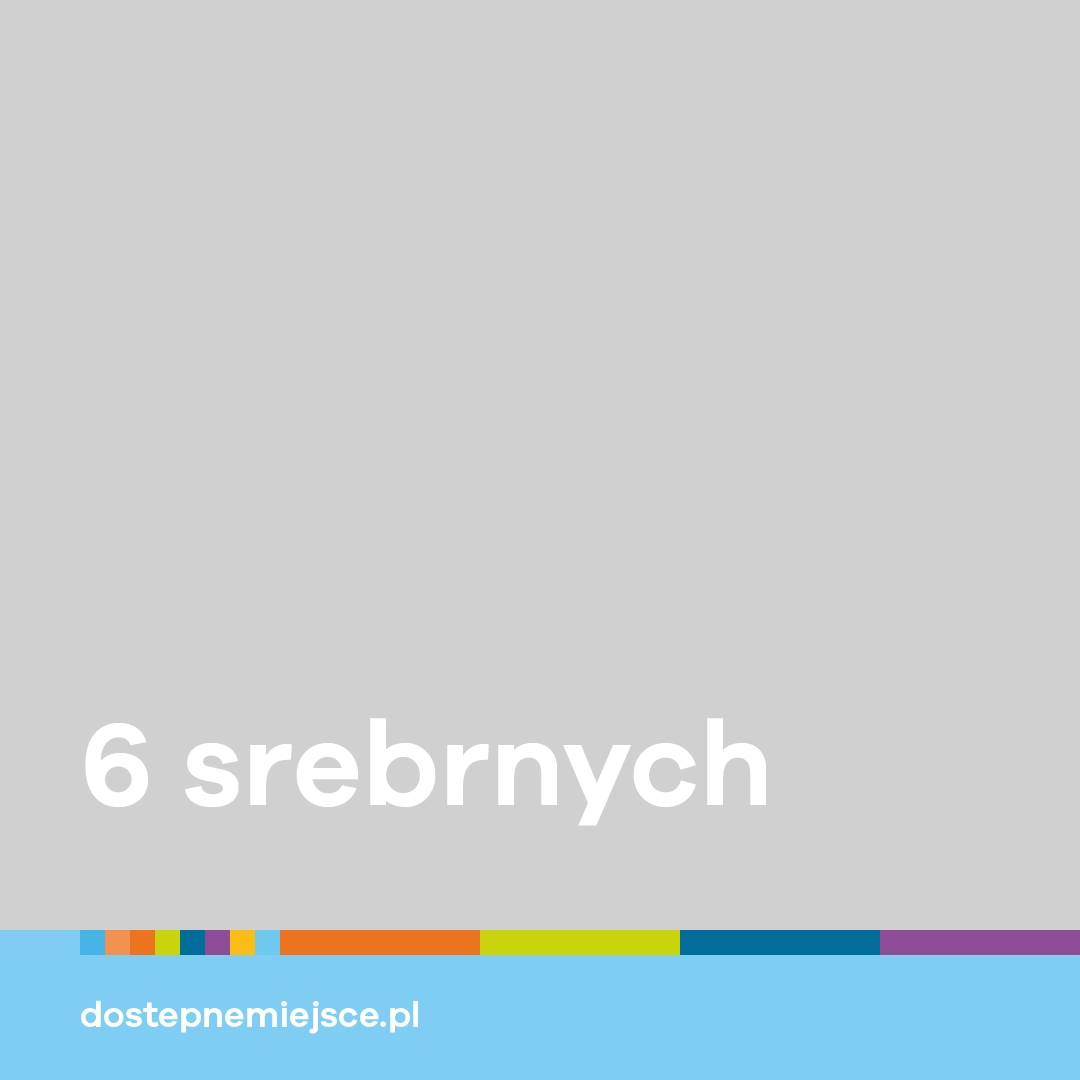 Grafika prezentująca informacje o ilości srebrnych medali zdobytych przez paraolimpijczyków