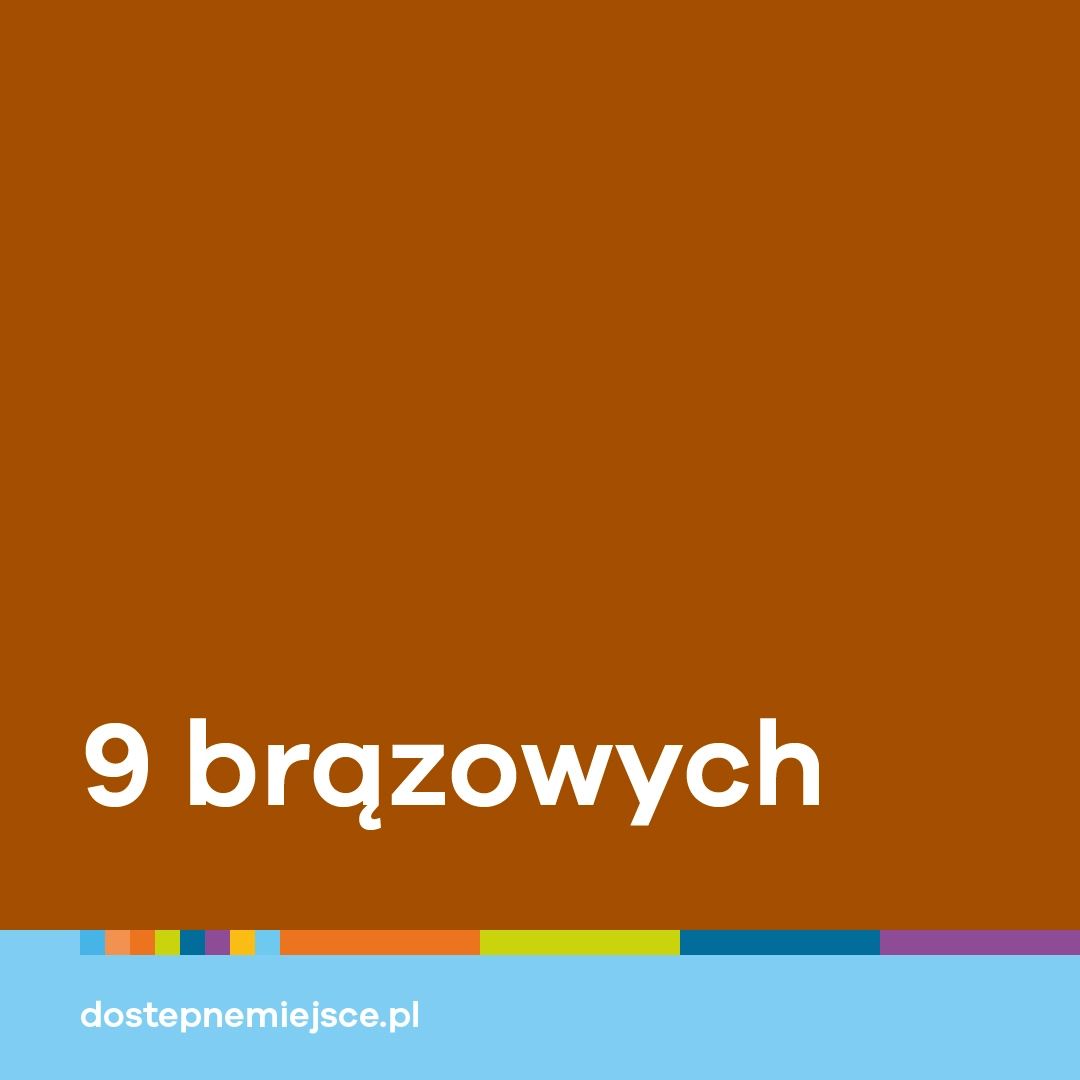 Grafika prezentująca informacje o ilości brązowych medali zdobytych przez paraolimpijczyków